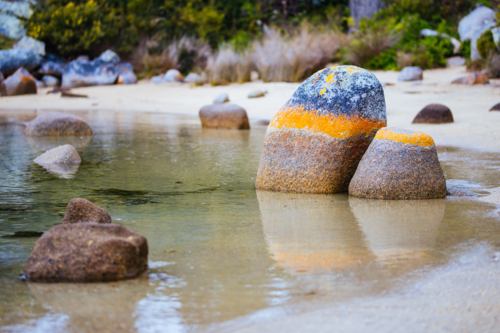 Detail of the iconic lichen covered rocks in the Bay of Fires at Binalong Bay, Tasmania, Australia - Australian Stock Image