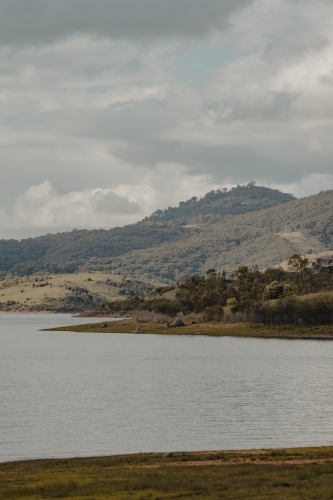 Detail of the water's edge at Blowering Reservoir - Australian Stock Image