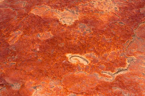 Detail shot of bright orange rock with texture
