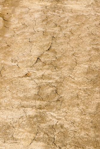 Detail shot of cracked dried mottled mud and clay - Australian Stock Image