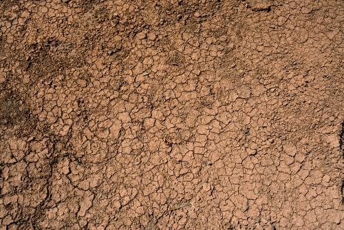 Detail shot of cracked dried mud