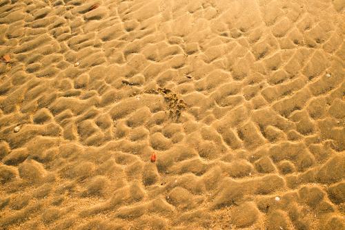 Detail shot of heavily patterned yellow beach sand with orange leaf - Australian Stock Image