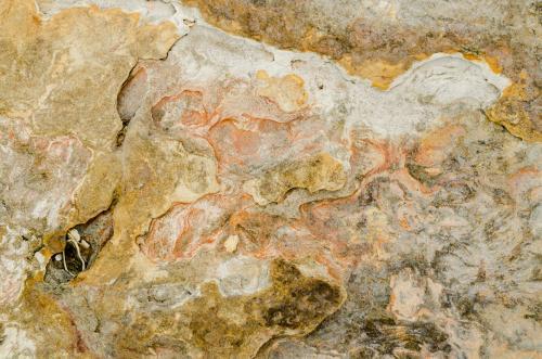 Detail shot of heavily textured and patterned orange and yellow rock