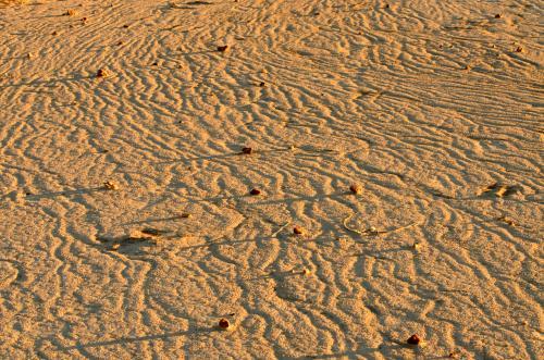 Detail shot of patterns and ripples in desert claypans - Australian Stock Image