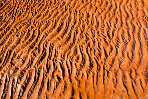 Detail shot of rippled wet bright orange sand