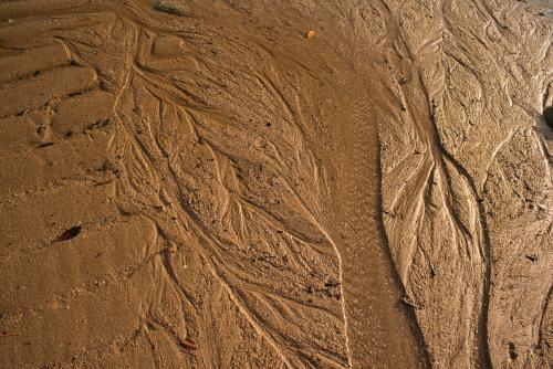 Detail shot of water rippling through sand forming patterns in late afternoon light - Australian Stock Image