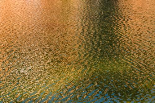 Detail shot of water with ripples and green and orange tones