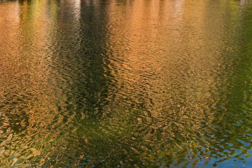 Detail shot of water with ripples and green and orange tones - Australian Stock Image