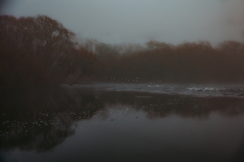 Dim photo of body of water with birds flying over - Australian Stock Image