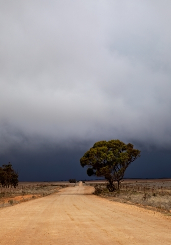 dirt road in rural landscape with approaching storm, vertical - Australian Stock Image