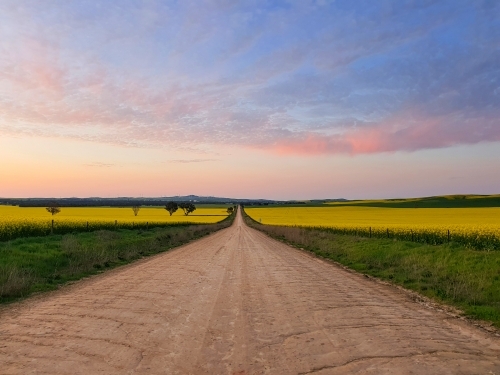 dirt road through farmland at sunset - Australian Stock Image