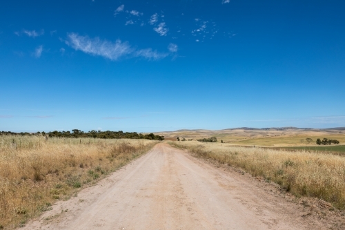 dirt road through farmland - Australian Stock Image