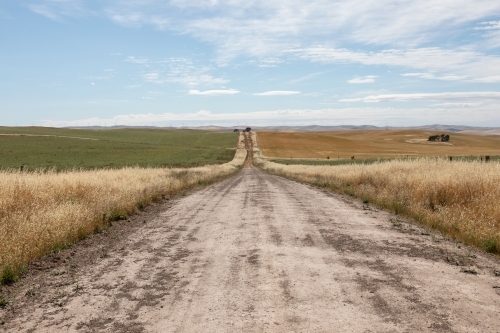 dirt road through farmland - Australian Stock Image