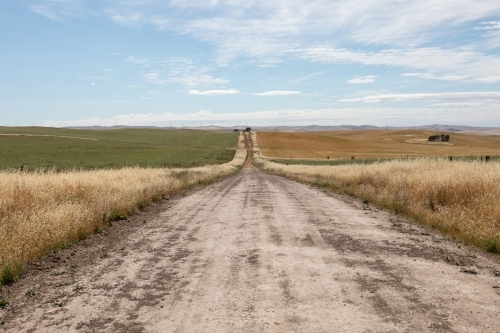 dirt road through farmland