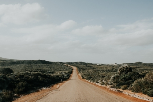 Dirt road through scrub - Australian Stock Image