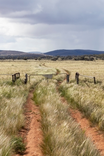 dirt track going through an old gate on grassy plains - Australian Stock Image