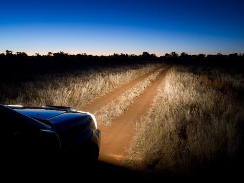 Dirt track through grassland lit by headlights - Australian Stock Image
