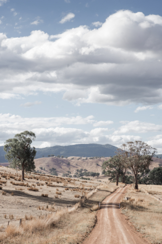 Dirt track winding through summer paddocks - Australian Stock Image