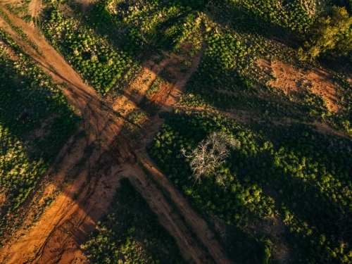 Dirt tracks crossroads from above - Australian Stock Image