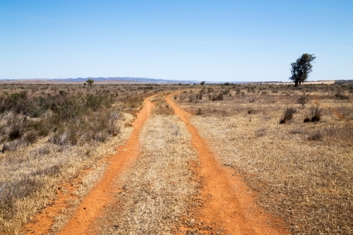 dirt tracks through dry plains - Australian Stock Image