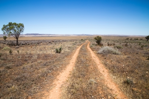 dirt tracks through dry plains - Australian Stock Image