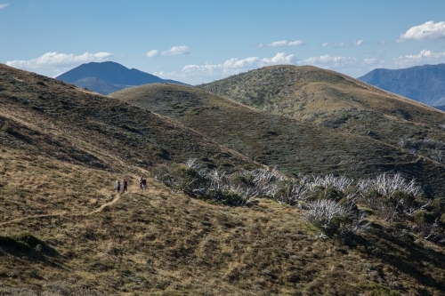 Distant bushwalkers on a track in the high country, Victorian Alps - Australian Stock Image