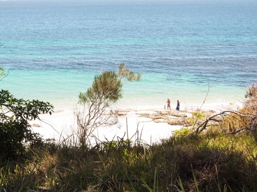 Distant family on beach in Jervis Bay