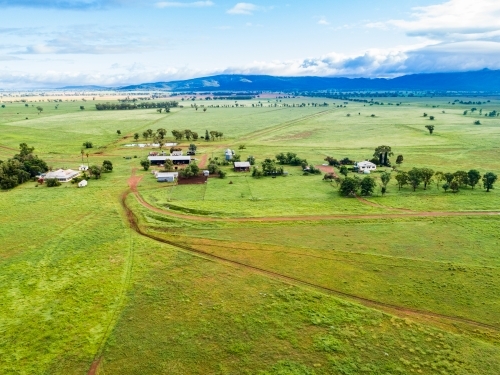 Distant homestead and other farm buildings in green home paddock - Australian Stock Image