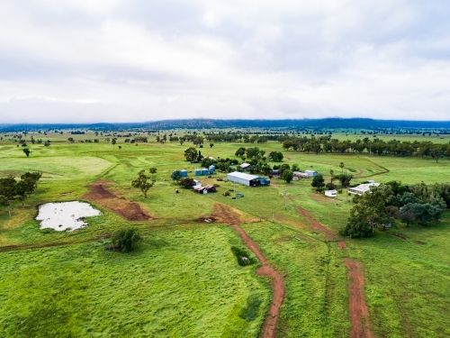 Distant homestead and other farm buildings in green home paddock - Australian Stock Image