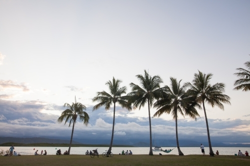 Distant palm trees and people relaxing by the coast at sunset hour - Australian Stock Image