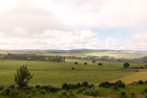 Distant view over open green farming fields - Australian Stock Image