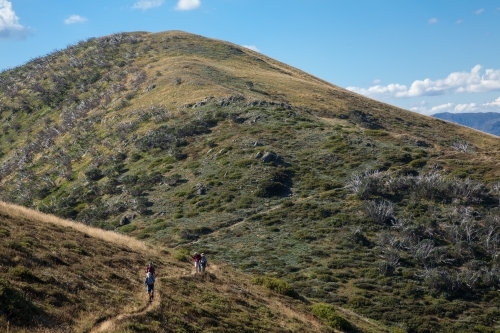 Distant walkers on winding track above the treeline in Victorian Alps - Australian Stock Image