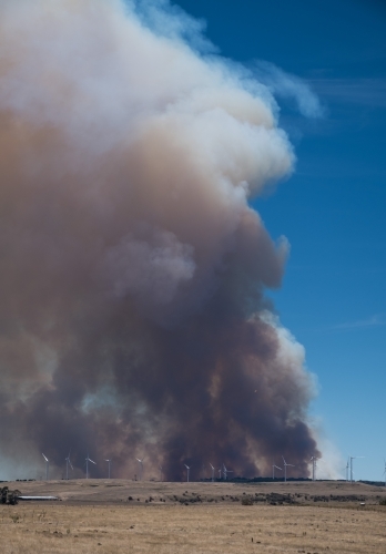Distant wind turbines in front of towering bushfire smoke cloud