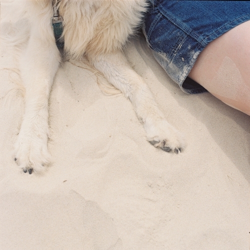 Dog and Girl at Beach - Australian Stock Image