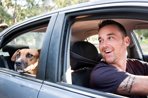 Dog and Smiling Man sitting in Silver Car