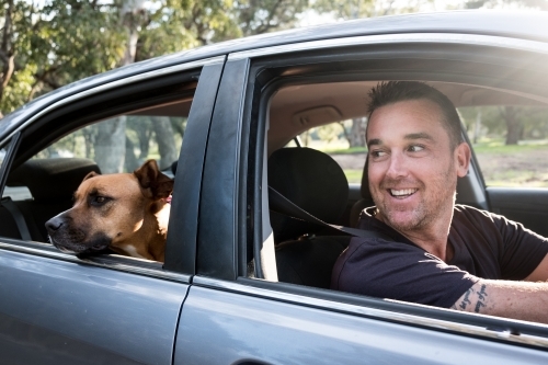 Dog and Smiling Man sitting in Silver Car - Australian Stock Image