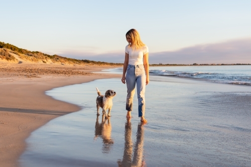 Dog and woman walking on the beach at sunset