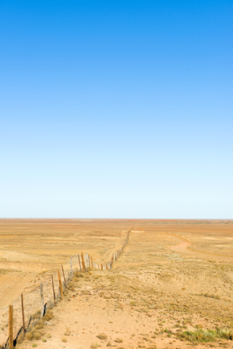 Dog fence stretching into the distance across arid outback land - Australian Stock Image