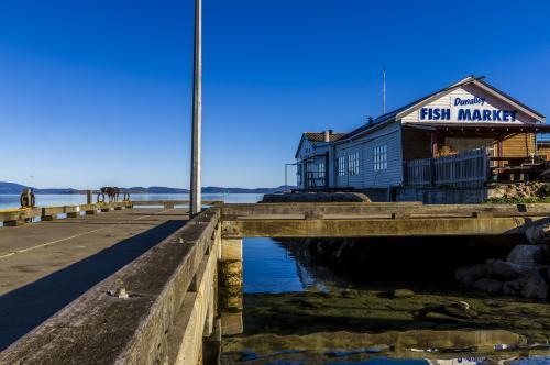Dog on the pier near Fish Markets. - Australian Stock Image