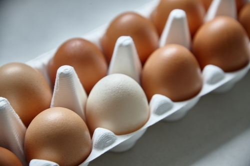 Dozen eggs in paper carton - Australian Stock Image
