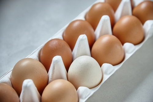 Dozen eggs in paper carton - Australian Stock Image