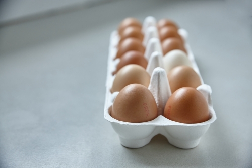Dozen eggs in paper carton - Australian Stock Image