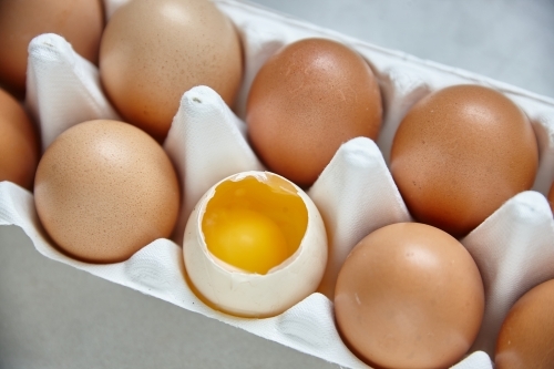 Dozen eggs in paper carton - Australian Stock Image