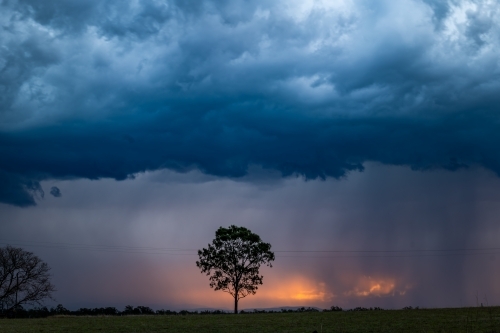 Dramatic summer storm Clouds above tree - Australian Stock Image
