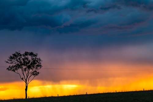 Dramatic Summer storm clouds above tree - Australian Stock Image