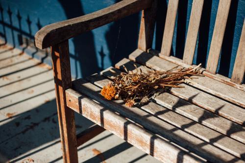 Dried Flowers on Bench - Australian Stock Image