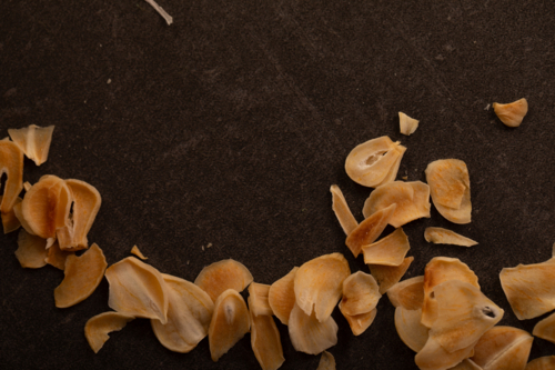 Dried Garlic Slices on Dark Background - Australian Stock Image