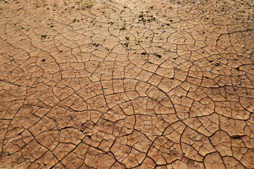 Dried mud cracking - Australian Stock Image