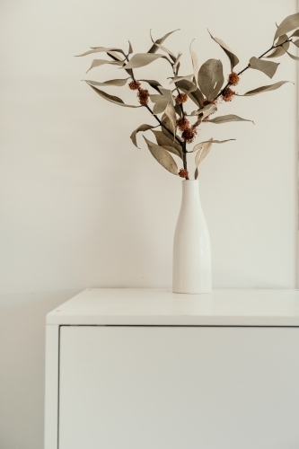 Dried natives in a vase. - Australian Stock Image