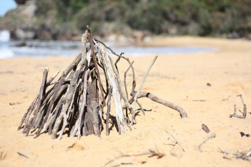 Driftwood display at the beach - Australian Stock Image